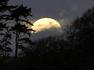 Moon over Wotton Hill (Mark Tolfree)