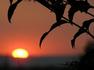Bradley Green Sunset (Mark Tolfree)